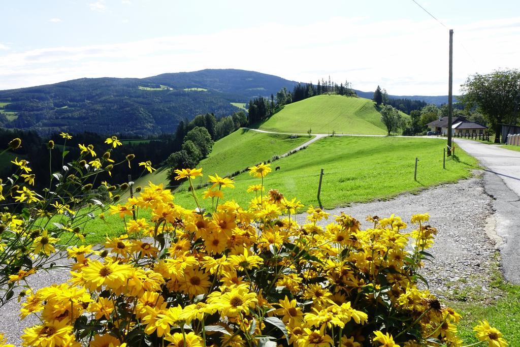 Ferienwohnungen Perhofer Birkfeld エクステリア 写真