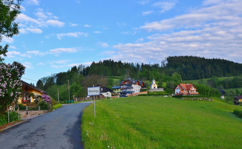 Ferienwohnungen Perhofer Birkfeld エクステリア 写真