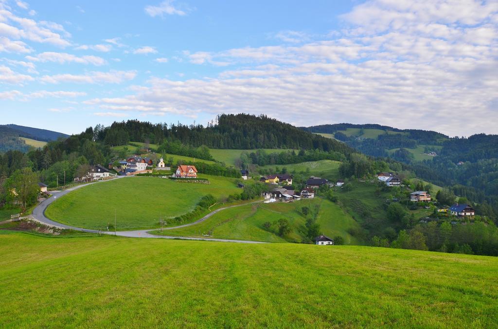 Ferienwohnungen Perhofer Birkfeld エクステリア 写真
